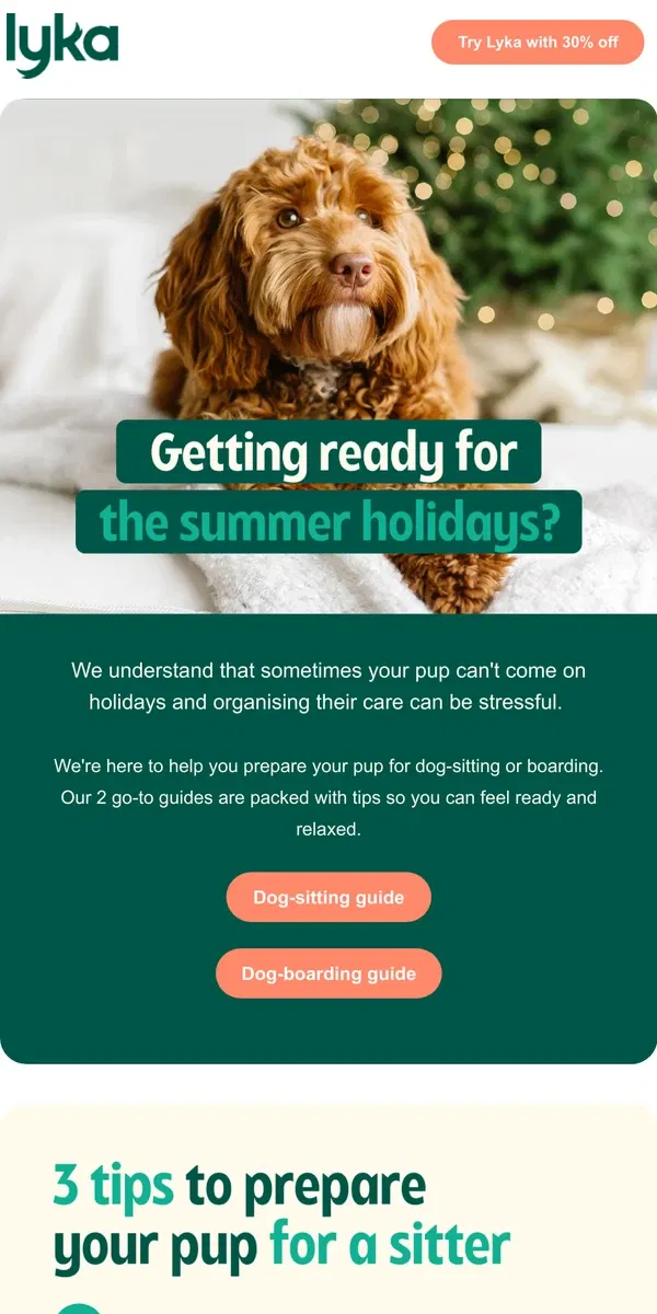 Email from Lyka. Leaving your pup with a sitter or at boarding this festive season? 🎄