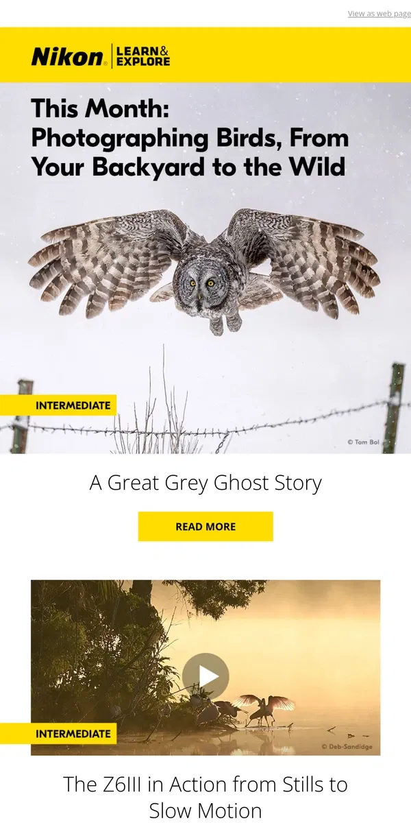 Email from Nikon. TIps for photographing birds