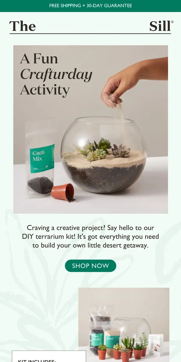 Email from The Sill. Create Your Own Tiny Oasis 🌵