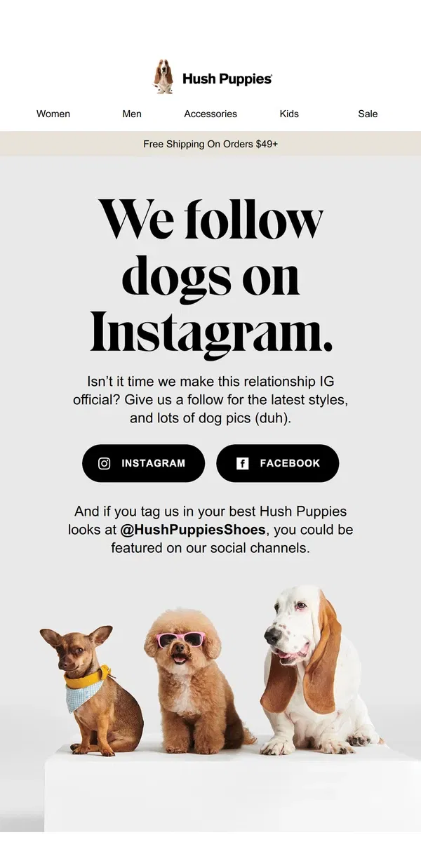 Email from Hush Puppies. Follow Our Socials! 🐶