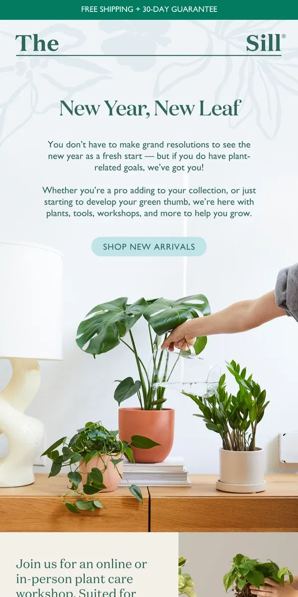 Email from The Sill. New Year, New Plants, New Tools, New Classes...