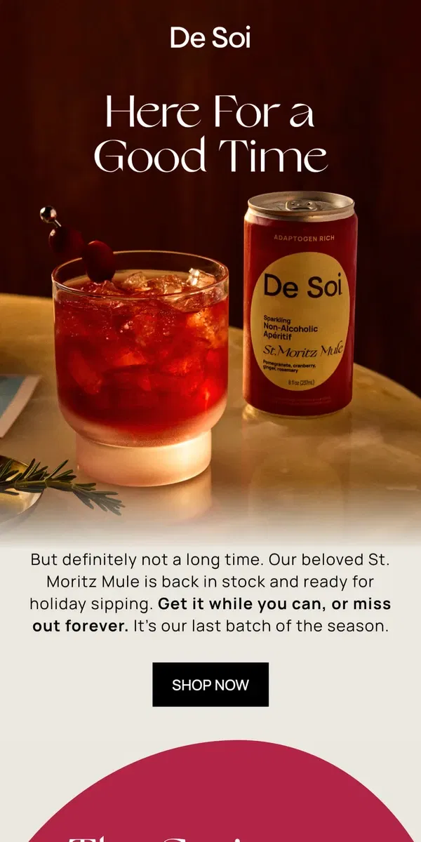 Email from De Soi. Restock Alert: St. Moritz Mule 🚨