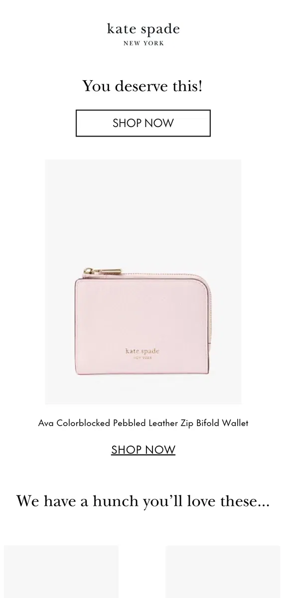 Email from Kate Spade. FYI: the price just dropped