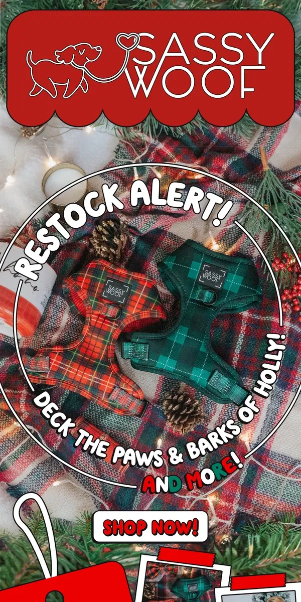 Email from Sassy Woof. Deck the Paws & Barks of Holly RESTOCK! ❤️💚