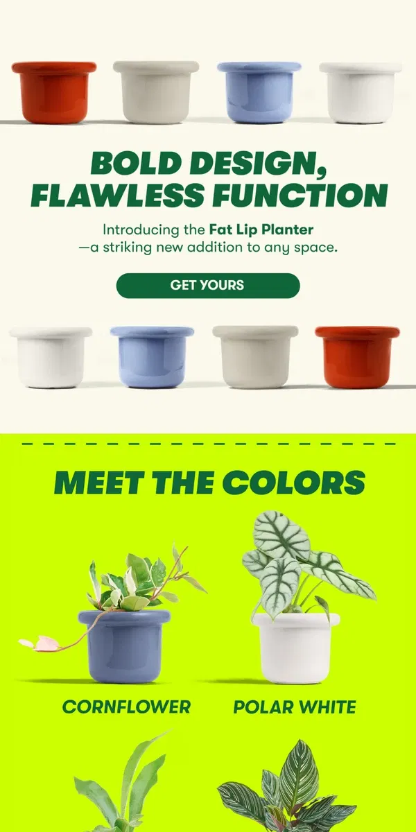 Email from Rooted. The Must-Have Planter of 2025 ⭐