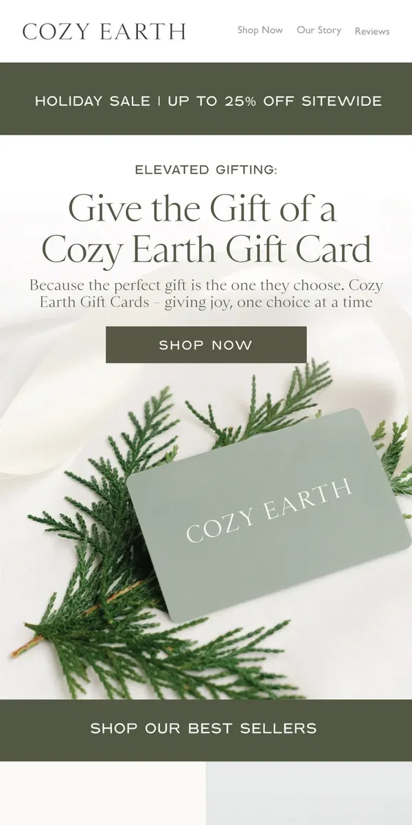 Email from Cozy Earth. It's Not Too Late...