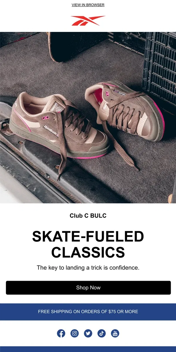 Email from Reebok. YOU’VE GOT SK8 MAIL