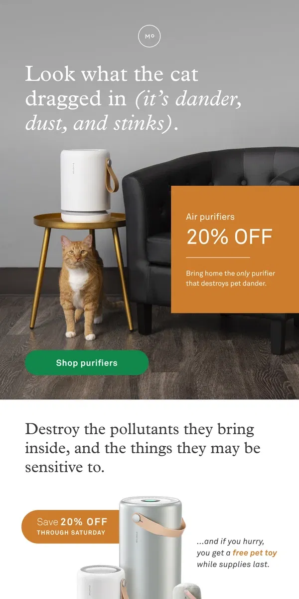 Email from Molekule. 🐾 20% off pet allergen protection is back 🐱