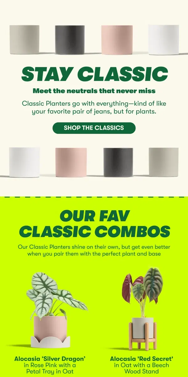 Email from Rooted. Timeless planters, everyday style