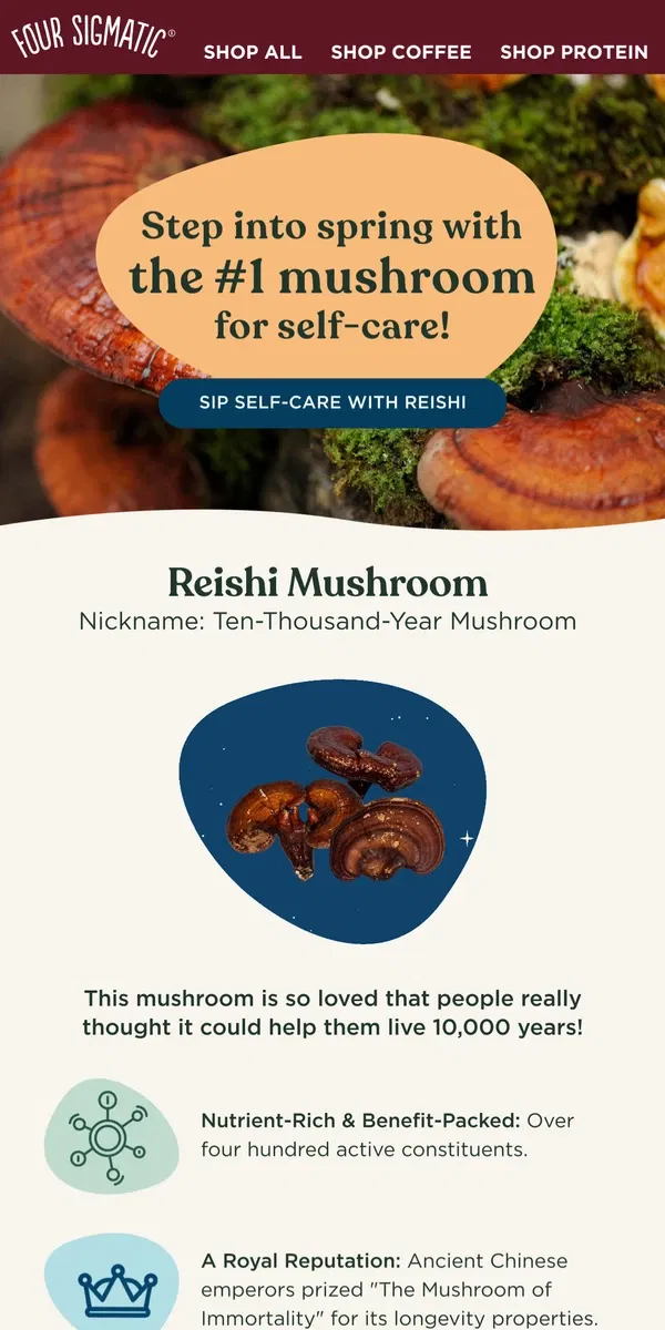 Email from Four Sigmatic. Can this mushroom help you live for 10,000 years?