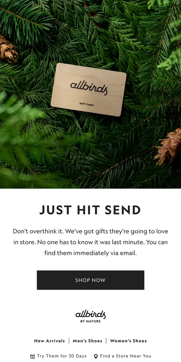 Email from Allbirds. There’s Still Time