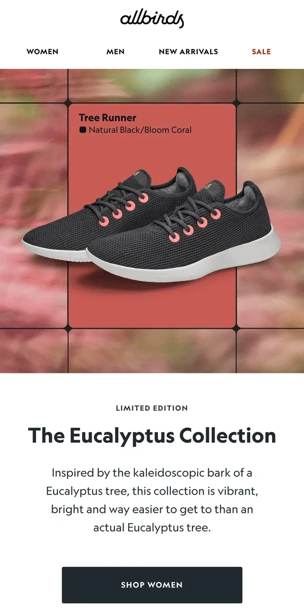 Email from Allbirds. Limited Edition: Eucalyptus Collection