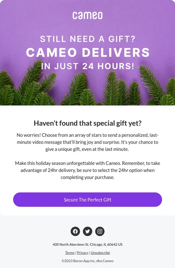 Email from Cameo. 24-Hour Cameo Delivery: Your Holiday Lifesaver!