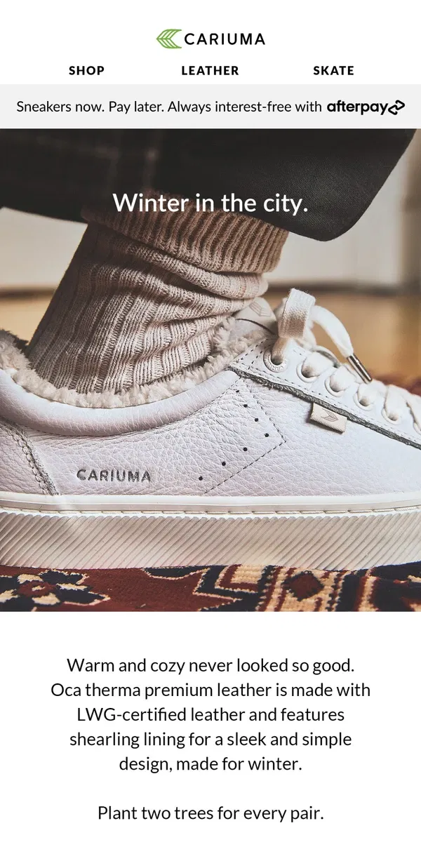 Email from Cariuma. Winter’s Sleek and Simple Staples