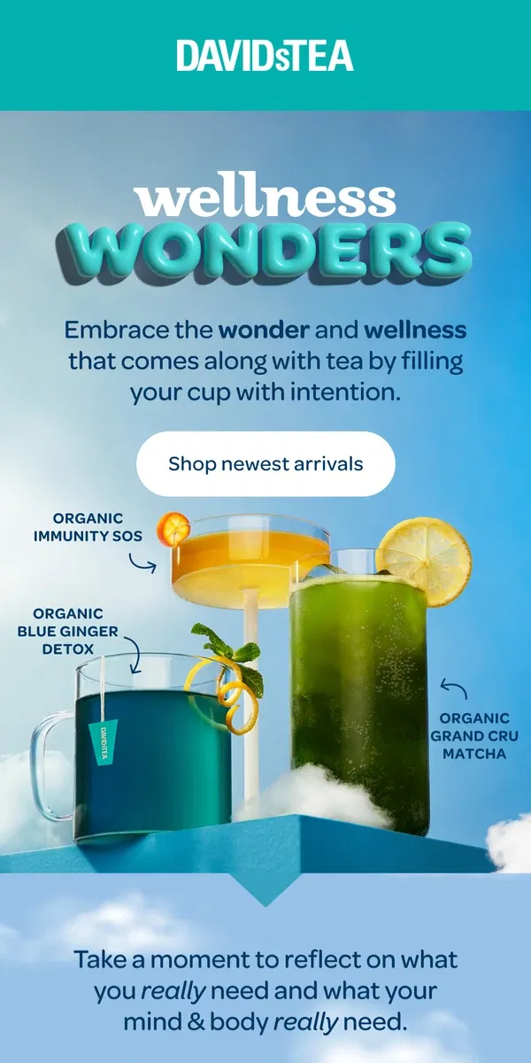 Email from DAVIDsTEA. 🌈☁ Wellness Wonders ☁🌈