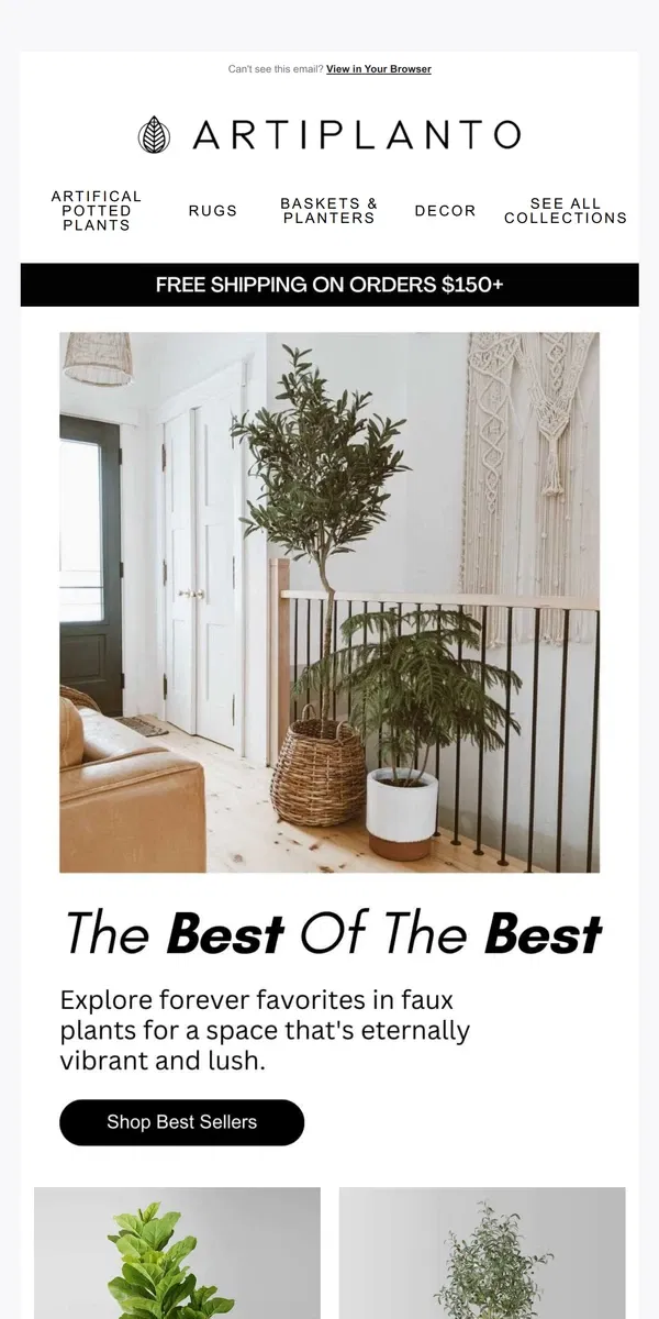 Email from Artiplanto. 🌿Interior Designers Love These Best Sellers