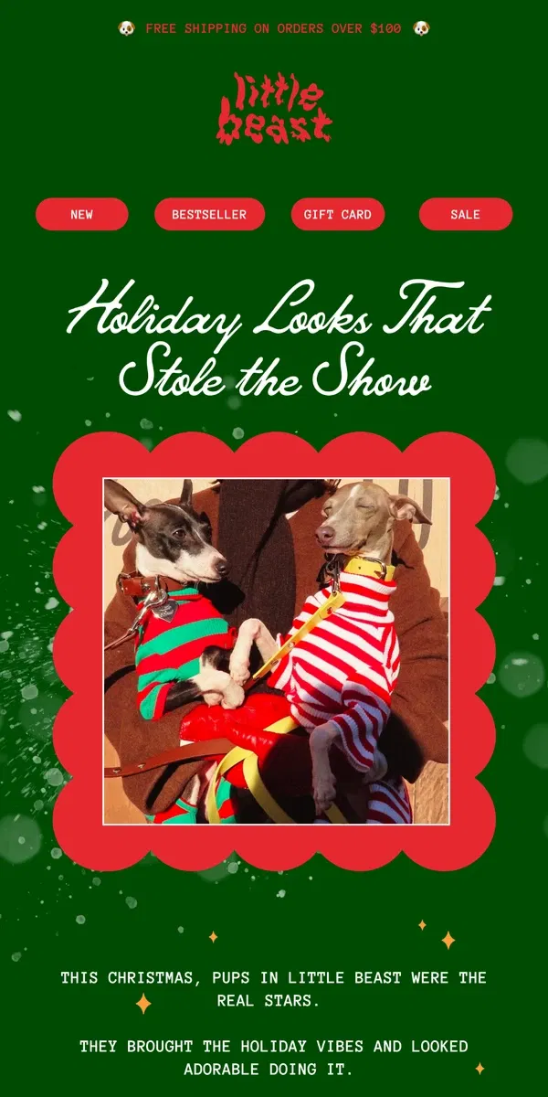 Email from Little Beast. Holiday Looks That Stole the Show