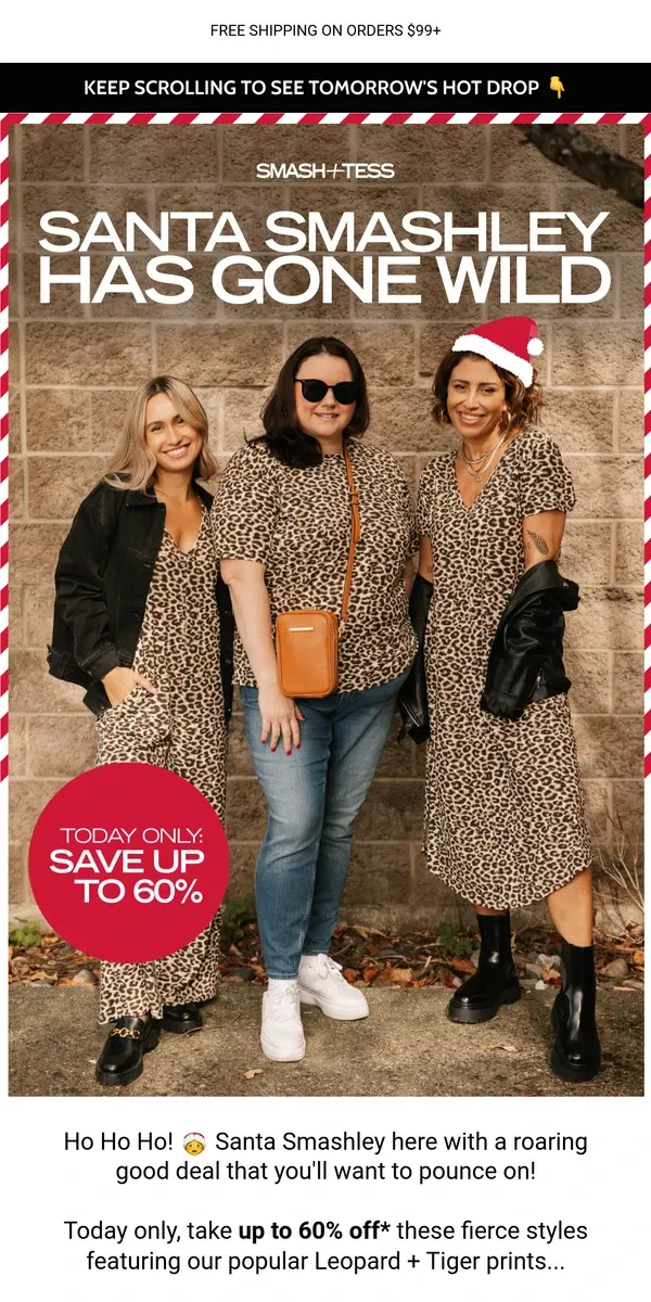 Email from Smash + Tess. Up To 60% OFF: Santa Smashley's Gone WILD! 🐆