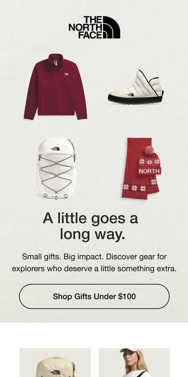 Email from The North Face. Make their holiday for under $100