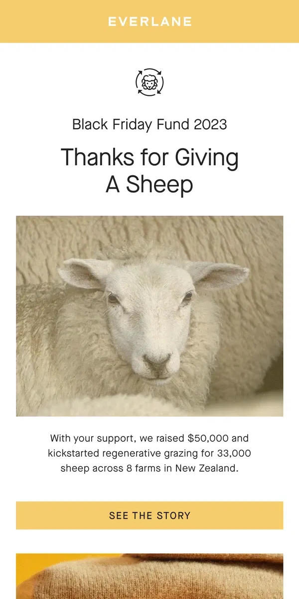 Email from Everlane. We Raised $50,000 for the Sheep