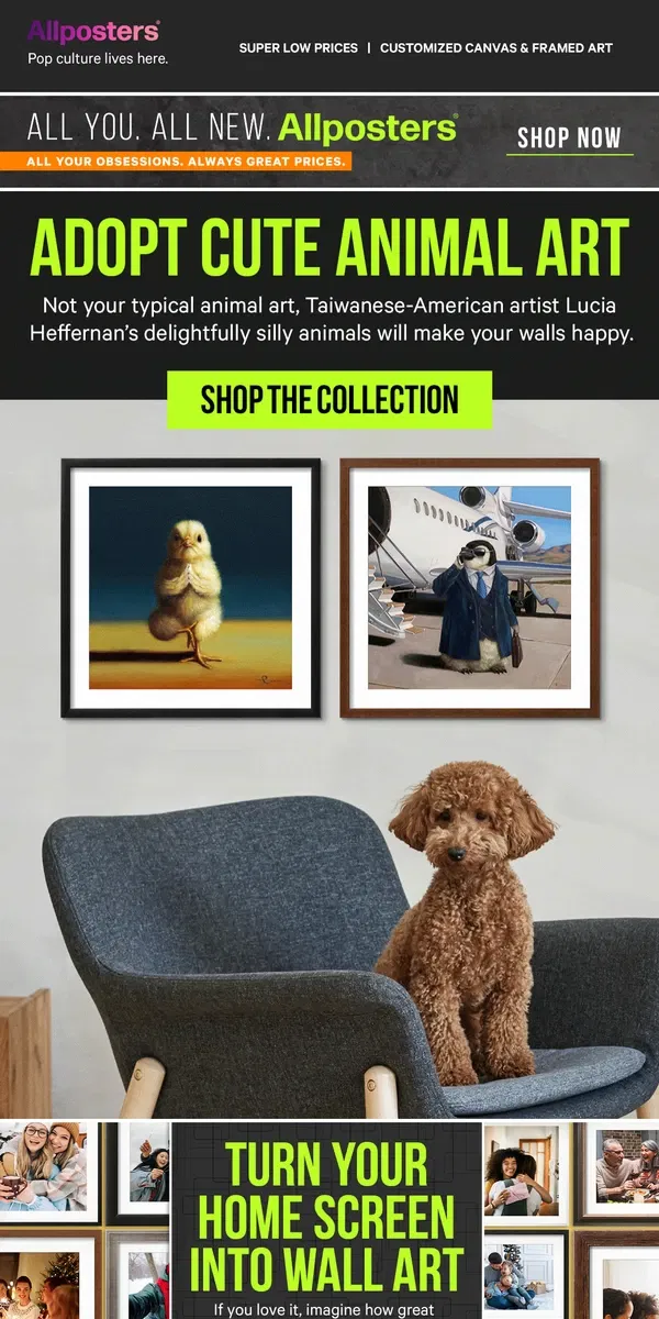 Email from AllPosters. Treat your walls to doggone cute art