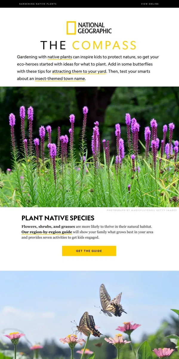 Email from National Geographic. Grow native plants with kids, launch seed bombs, and a quiz about a buggy town