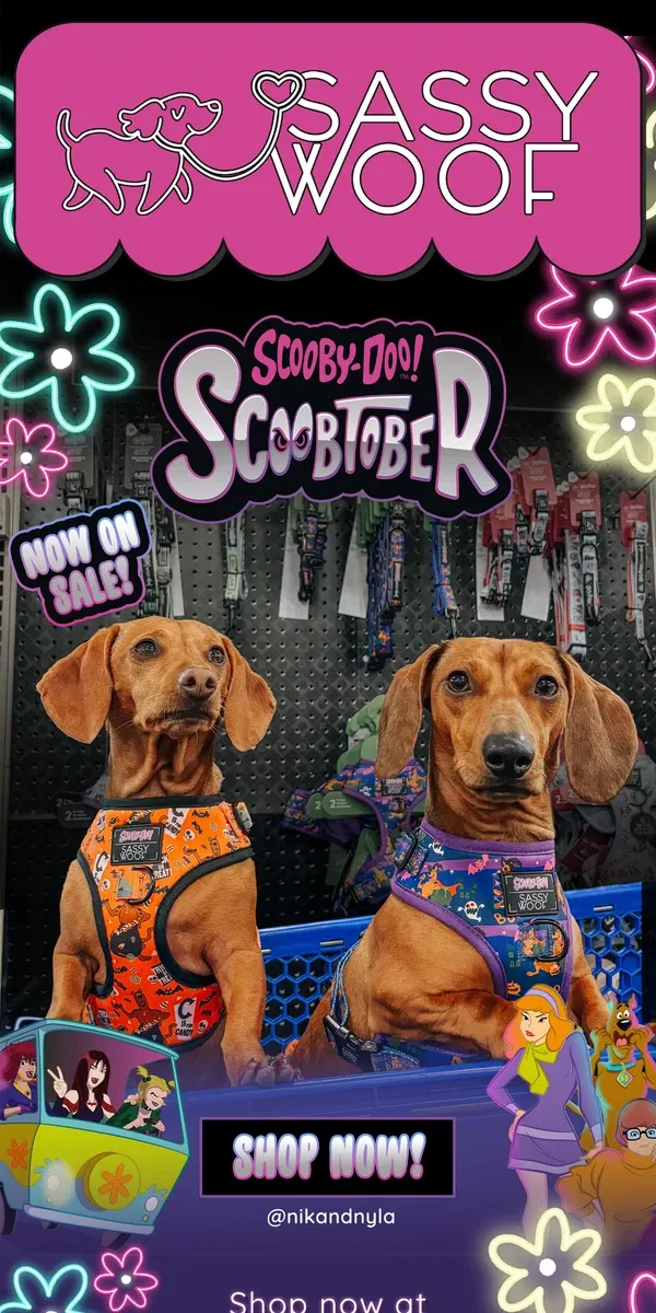 Email from Sassy Woof. Celebrate Scoobtober! 🎃👻