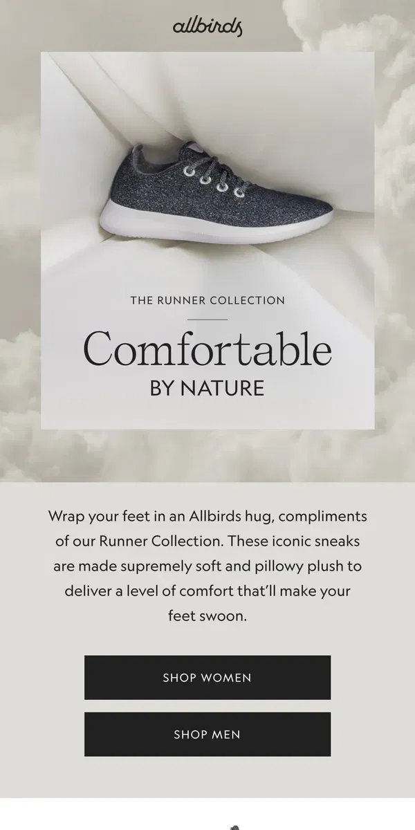 Email from Allbirds. Comfortable. Wearable. Must-Have-able. 🤗