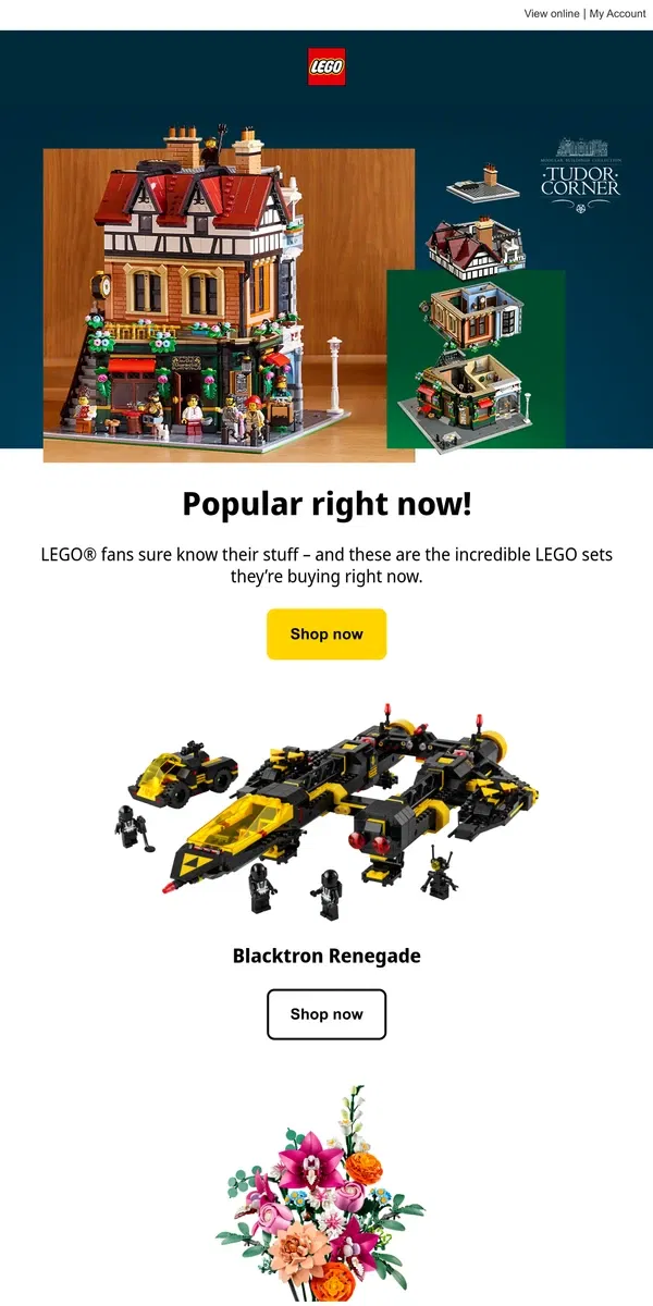 Email from Lego. Let's get building!