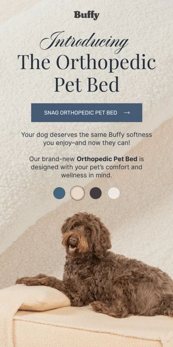 Email from Buffy. Your Pet’s New Favorite Spot is Here 🐾