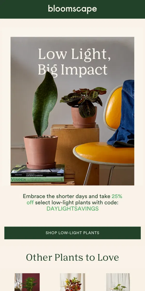 Email from Bloomscape. Fall Back, Save Big 🕰️