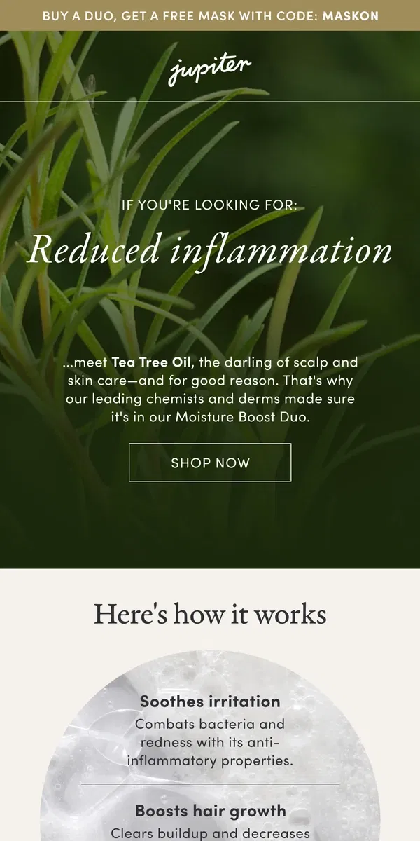 Email from Jupiter. Really? Tea Tree Oil?