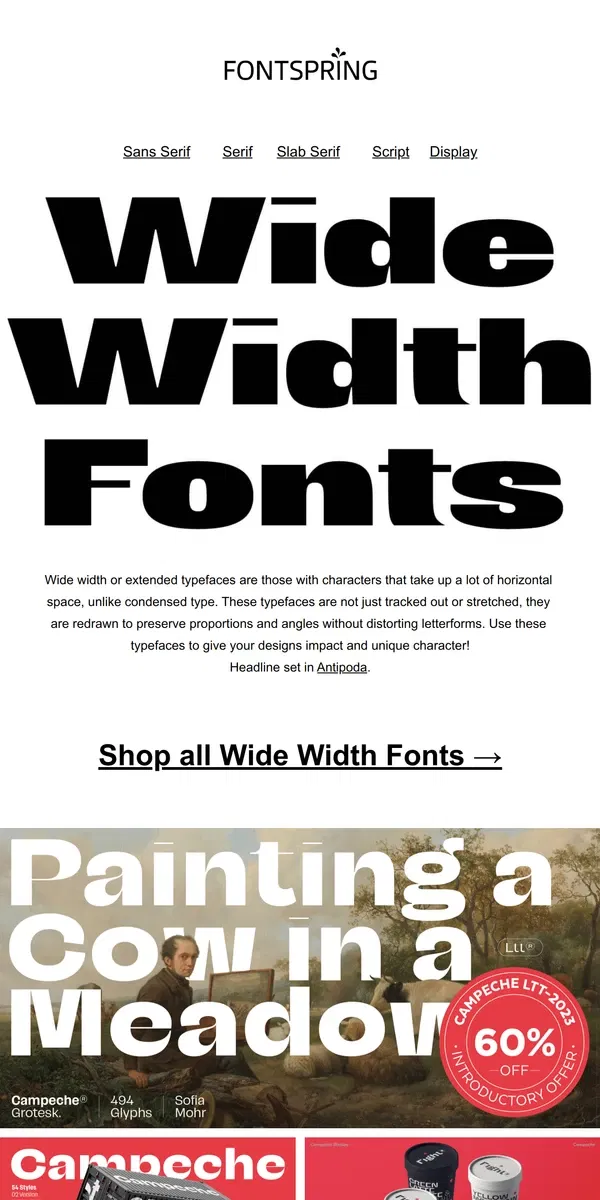 Email from Fontspring. Wide Width Fonts | Fontface