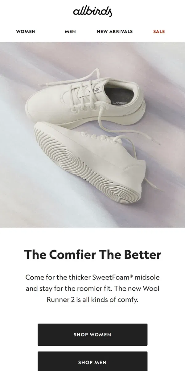 Email from Allbirds. What Is It About These Shoes?