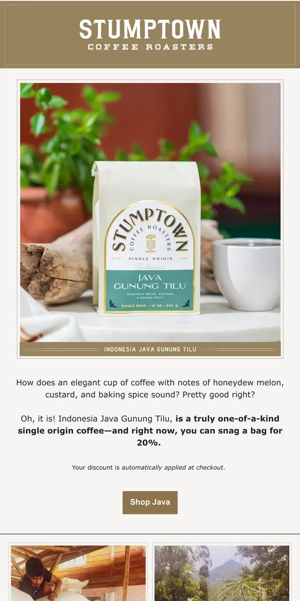 Email from Stumptown Coffee Roasters. 20% off Java Gunung Tilu