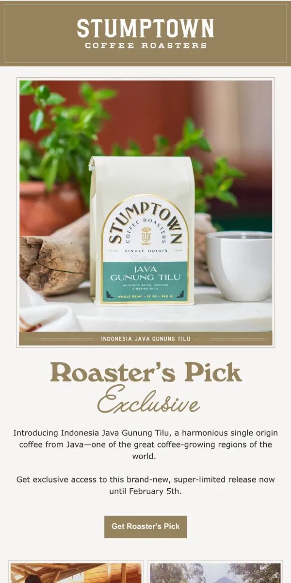 Email from Stumptown Coffee Roasters. Ready for Indonesia Java Gunung Tilu?