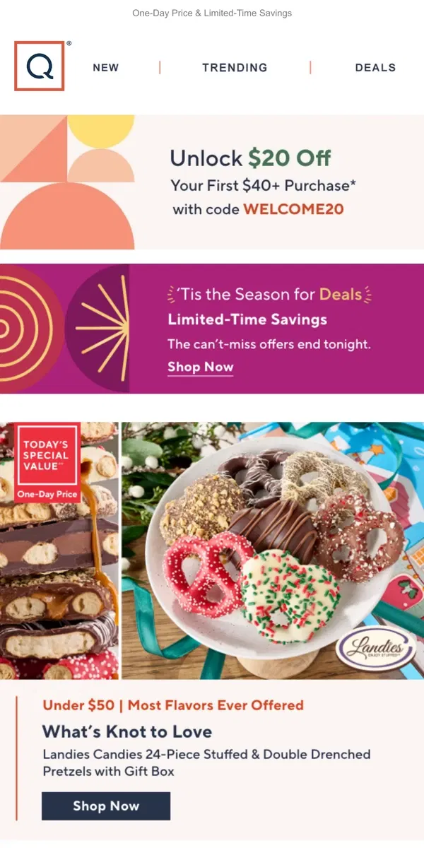 Email from QVC. Take $20 Off + One-Day Price