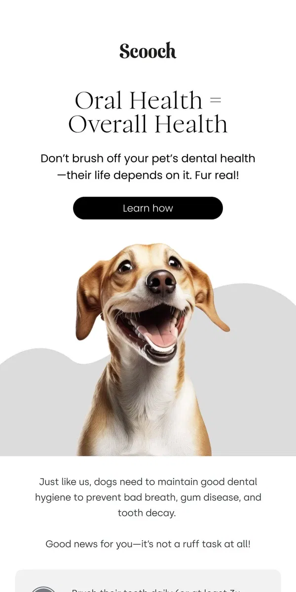 Email from Scooch. A quick dental health check for your pup.