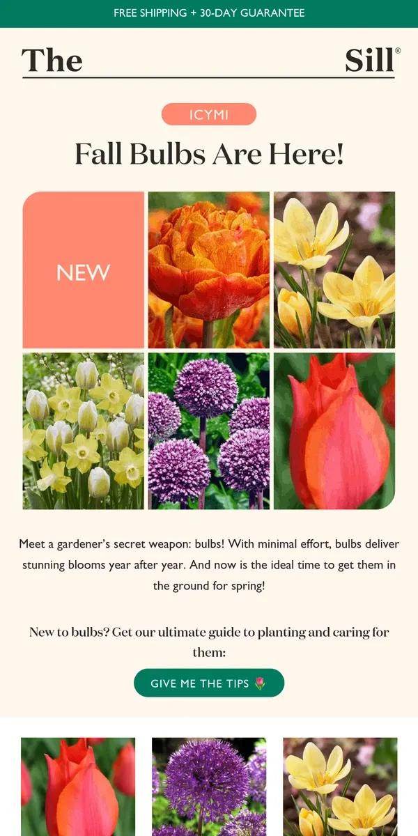 Email from The Sill. Meet a Gardener's Secret Weapon 🌷