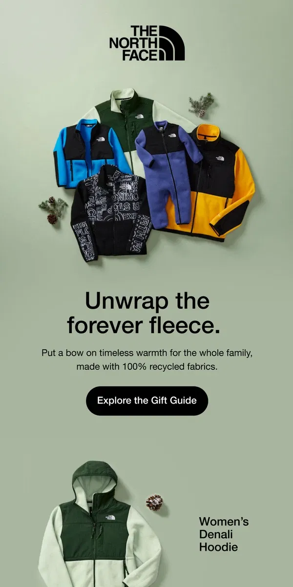 Email from The North Face. Top gift pick: The Denali Jacket.