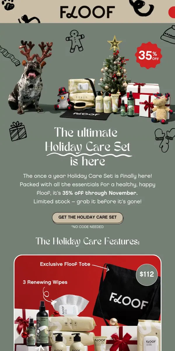 Email from Floof. 🎄 Dog Parents: 35% Off Holiday Care Set – Limited Stock, Don’t Miss Out! 🎄