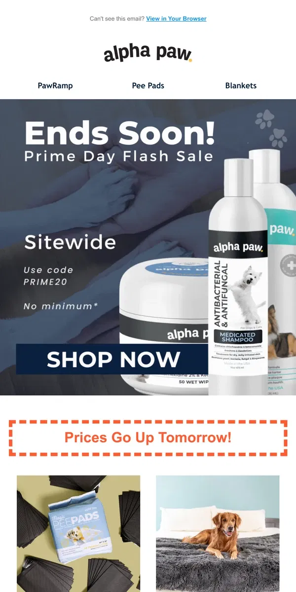 Email from Alpha Paw. Prime Day Sale discount expires tomorrow...⌛🔥