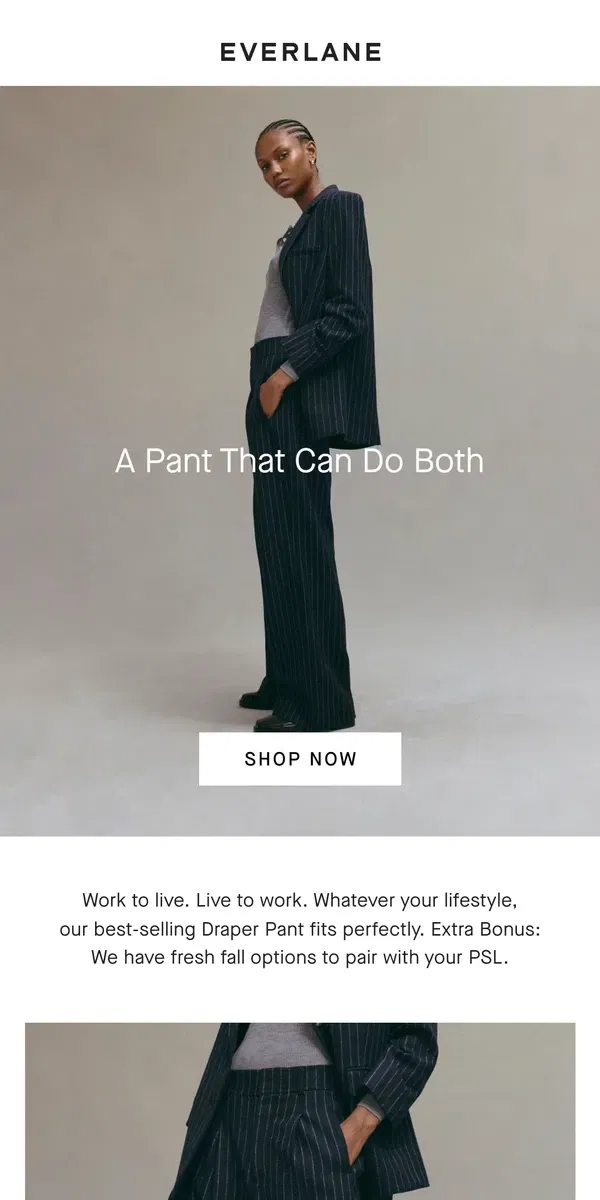 Email from Everlane. A New, Fall-Ready Draper Pant