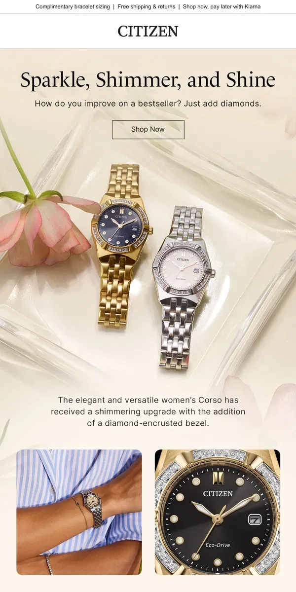 Email from Citizen Watch. For Your Valentine