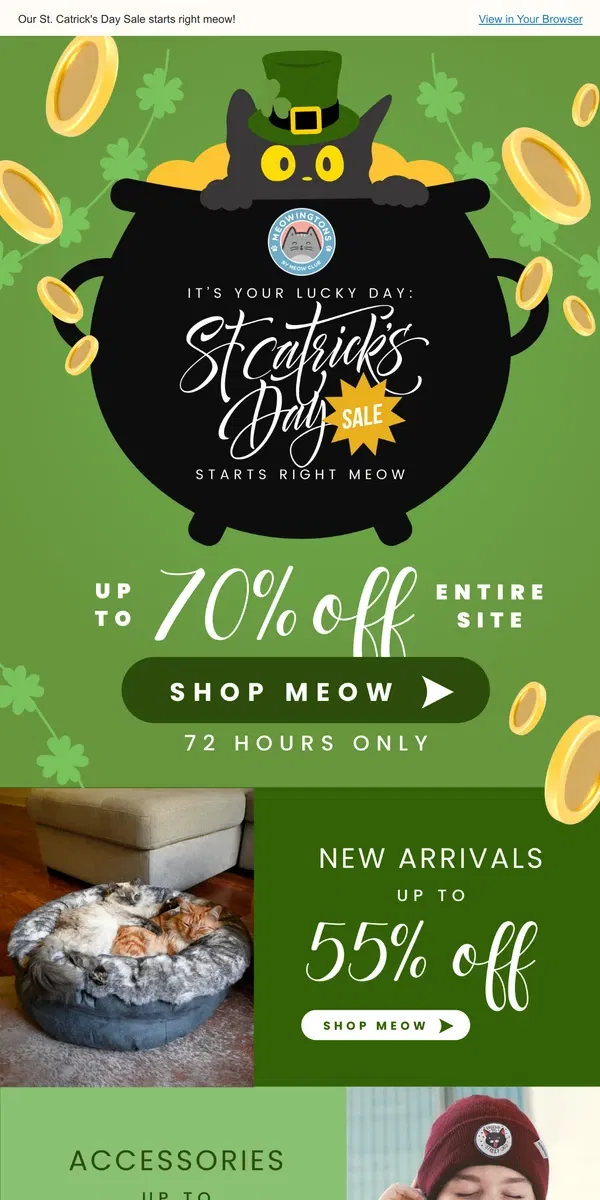 Email from Meowingtons. 🍀 Happy St. Catty's Day Sale - 70% OFF 🍀