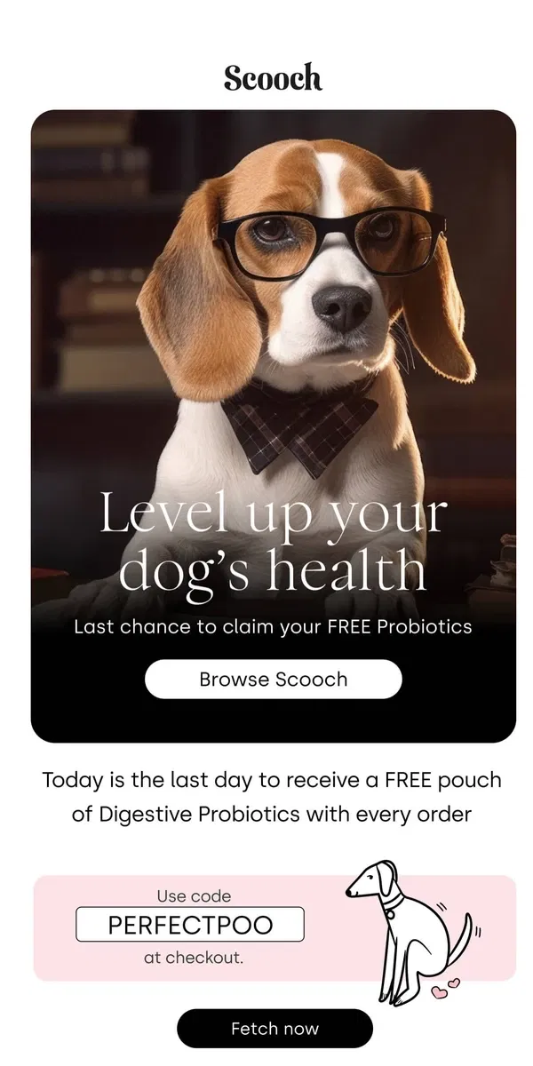 Email from Scooch. Why Scooch?