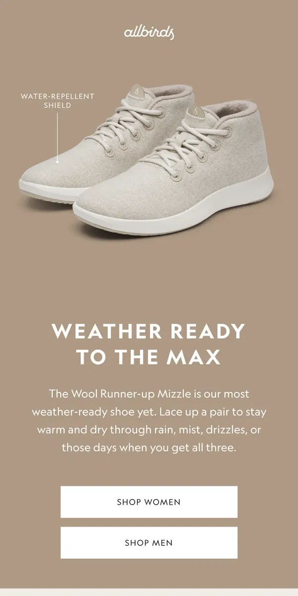 Email from Allbirds. Weather Any Weather ⛈️