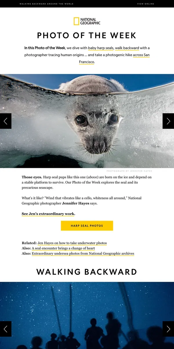 Email from National Geographic. Into the fragile world of harp seals. Plus, walking backward around the world.