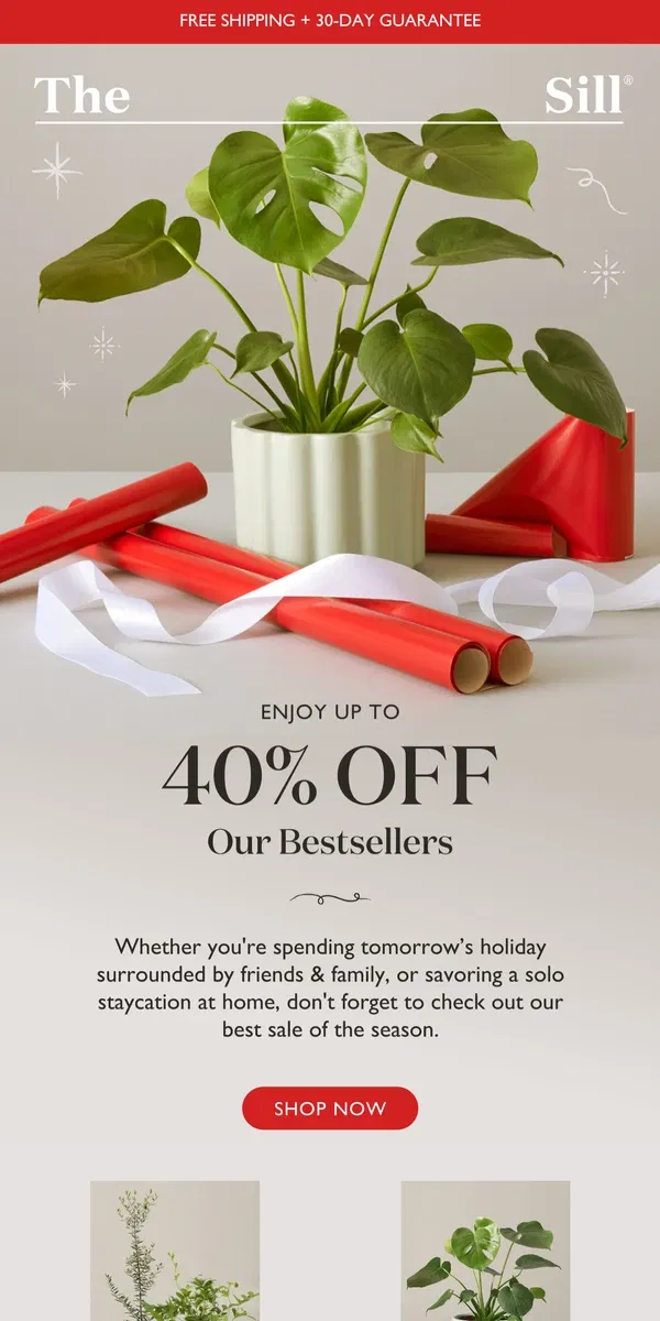 Email from The Sill. Snag Your 40% Off Deals Before They Sell Out 🌿