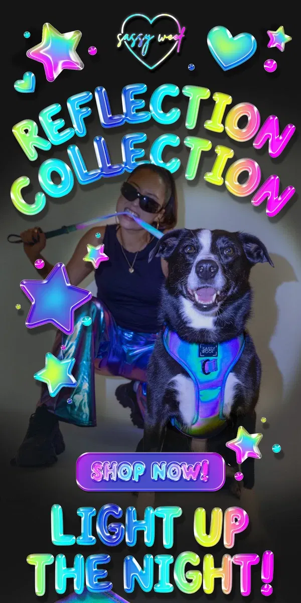 Email from Sassy Woof. BRAND NEW Reflection Collection 🔦